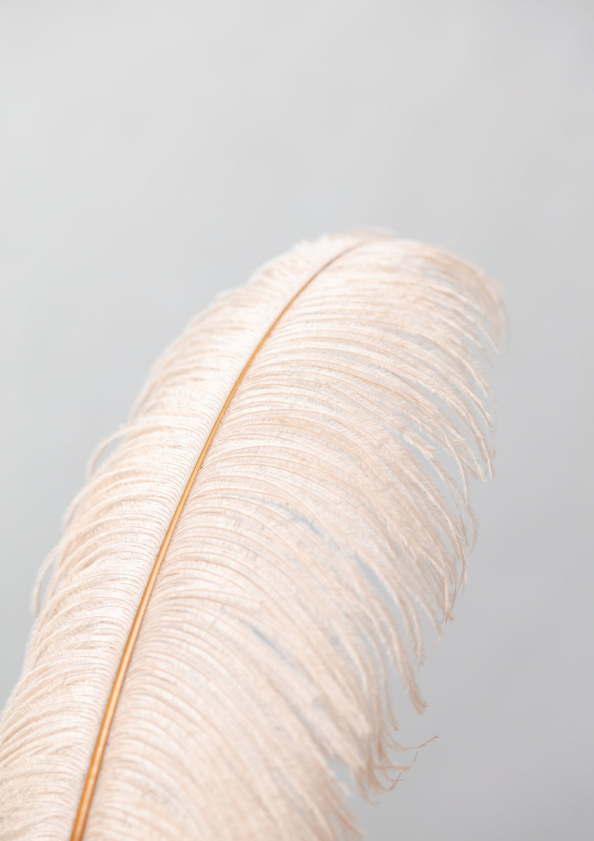 Quadro Feather #1 By 1x Studio III