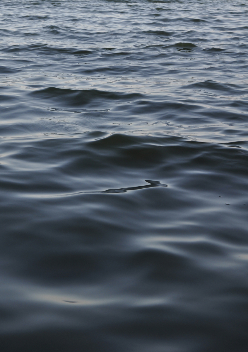 Quadro Feet in the Water