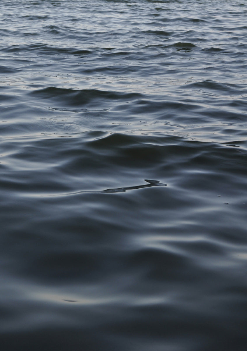 Quadro Feet in the Water