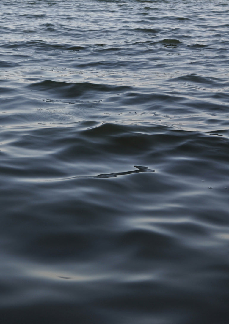 Quadro Feet in the Water