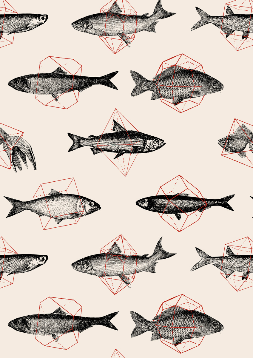 Quadro Fishes in Geometrics I