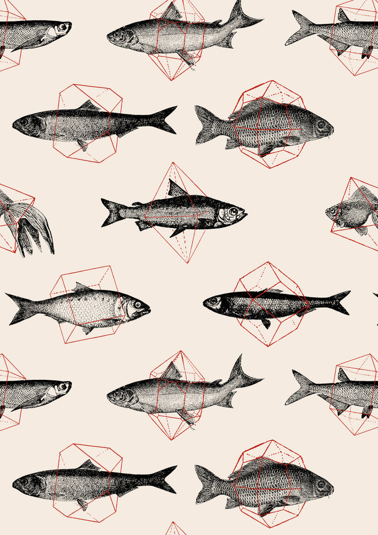 Quadro Fishes in Geometrics I