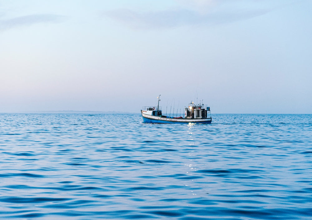 Quadro Fishing Boat At Sea
