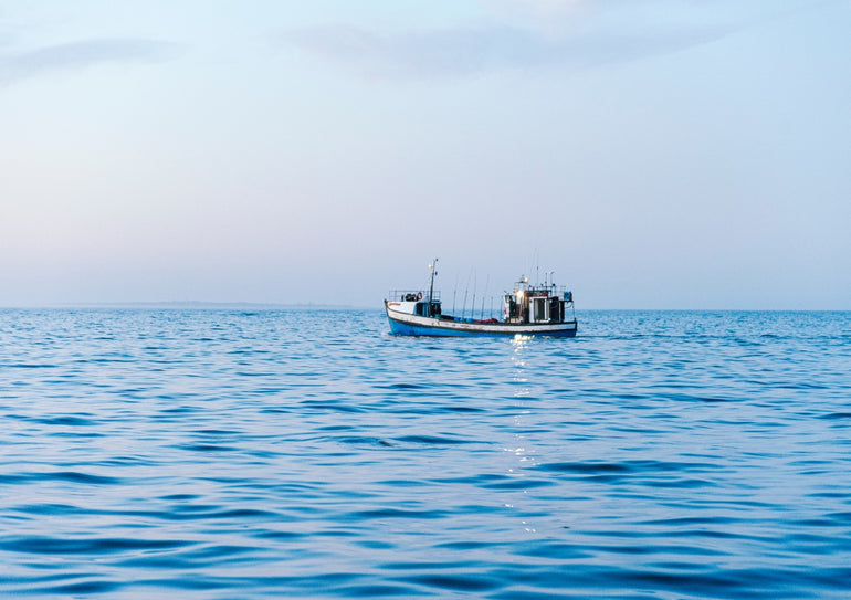 Quadro Fishing Boat At Sea