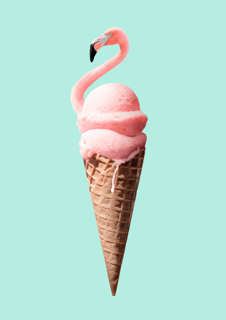 Quadro Flamingo Cone