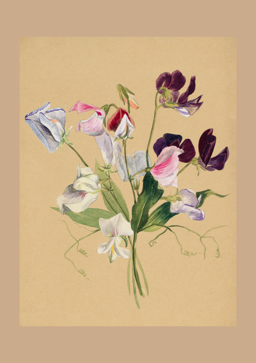 Quadro Flower Study