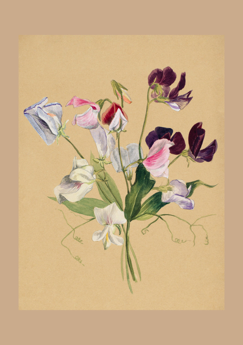 Quadro Flower Study