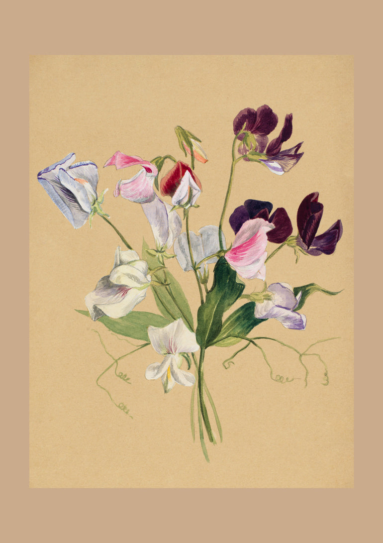 Quadro Flower Study