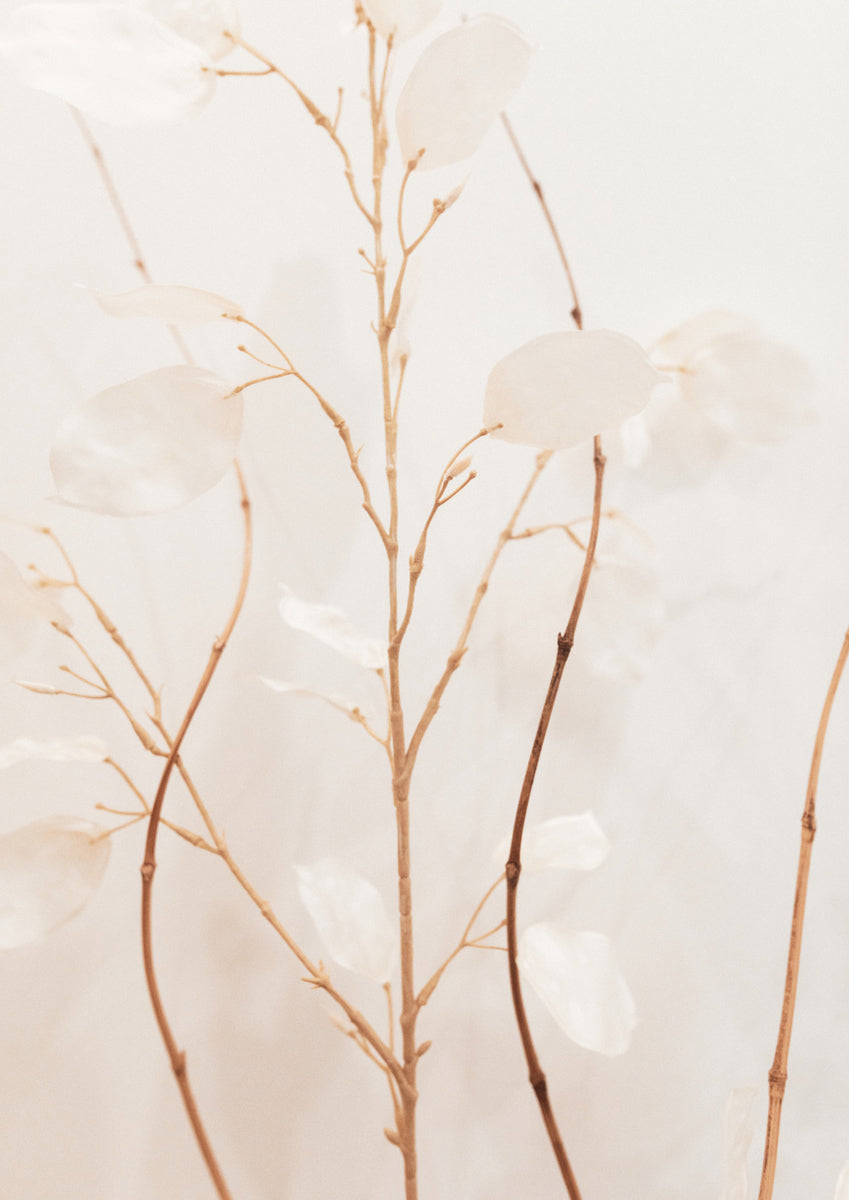 Quadro Flowers I
