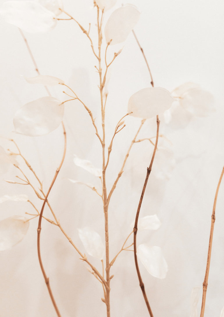 Quadro Flowers I