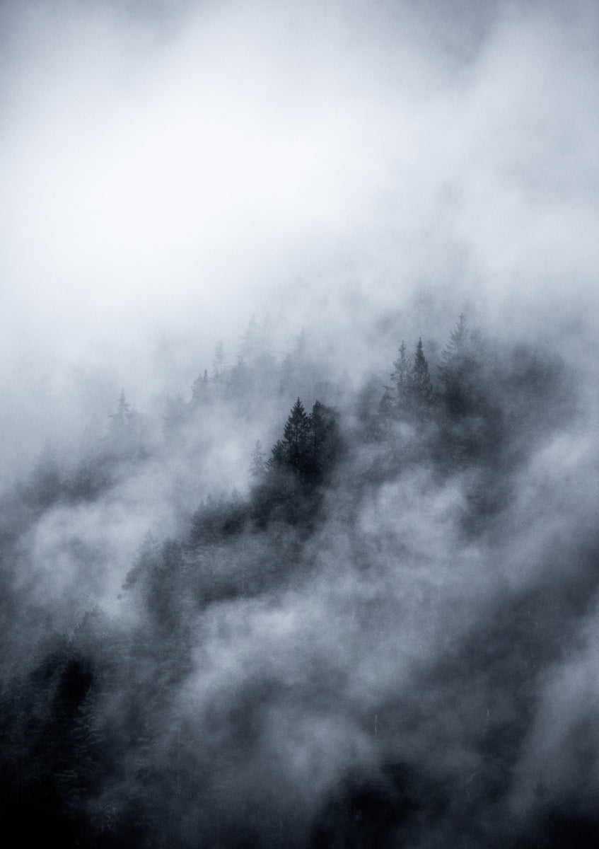 Quadro Foggy Morning 3