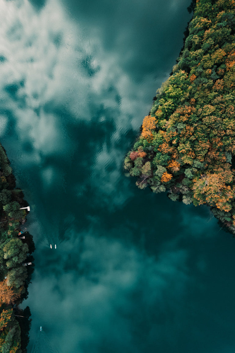 Quadro Forest and Water