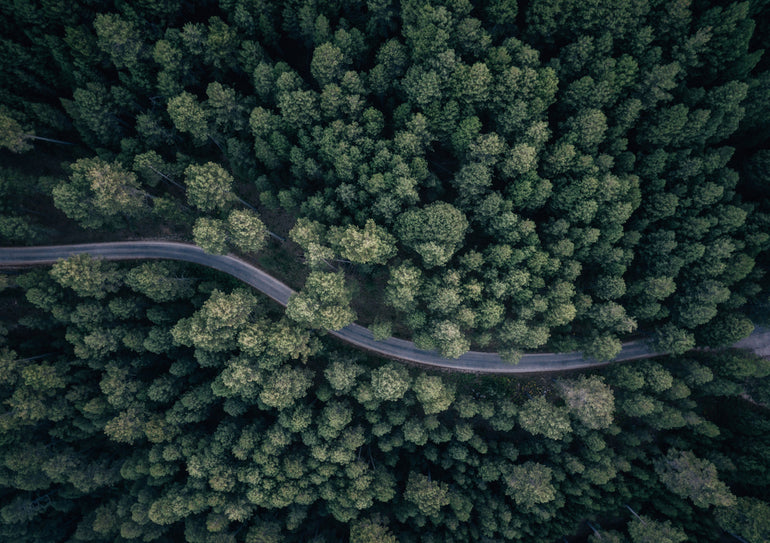 Quadro From Above