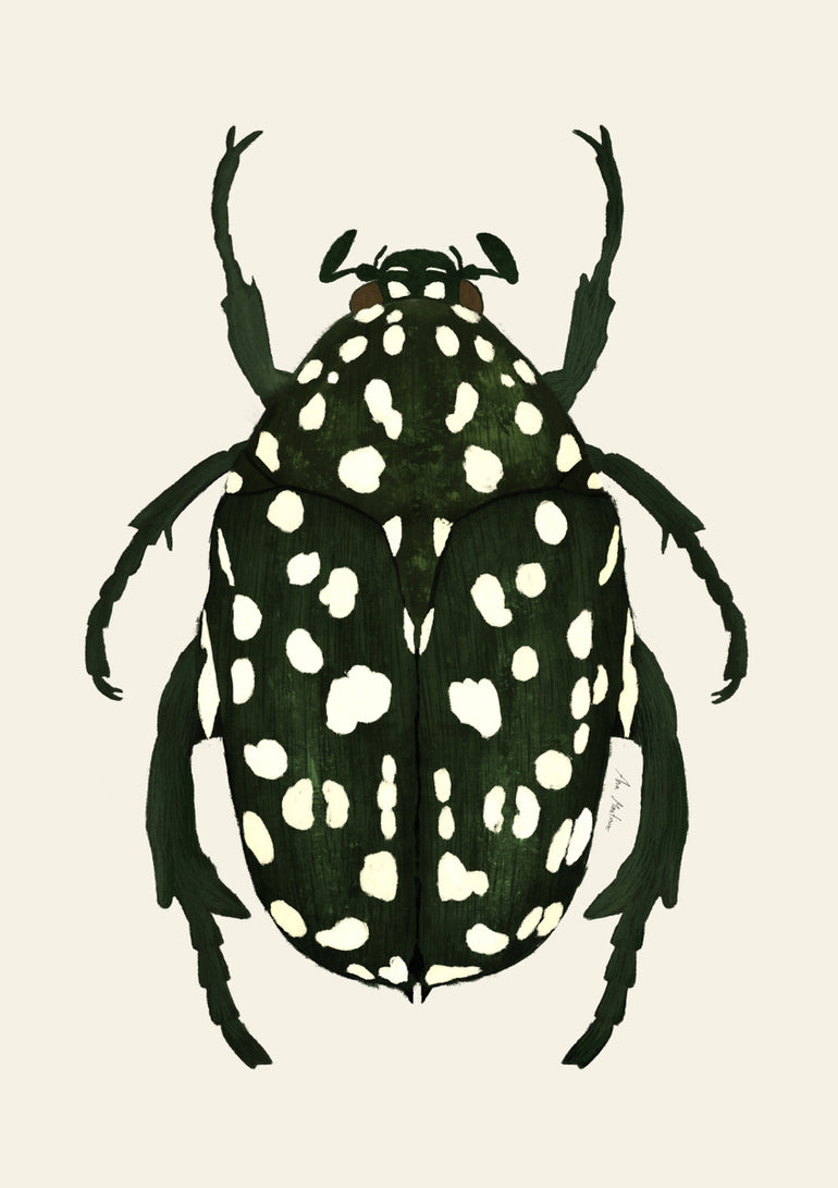 Quadro Green Beetle