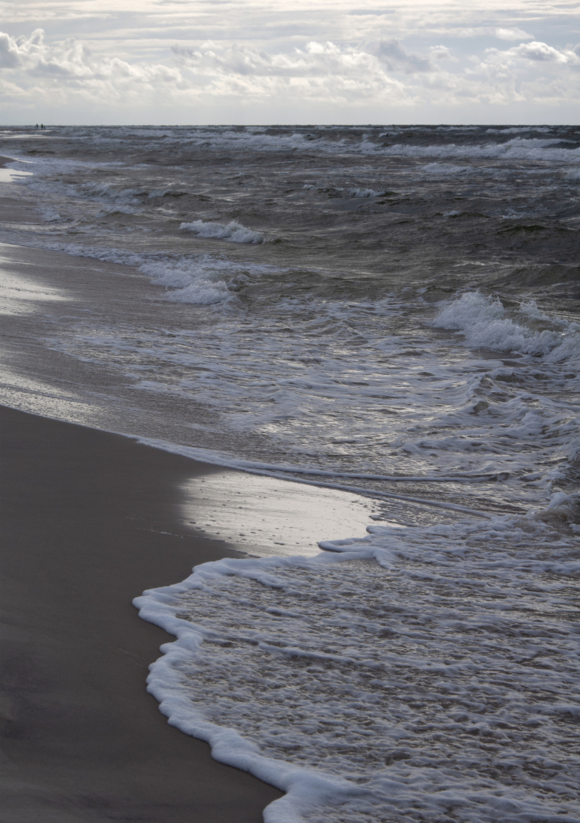 Quadro Greige Golden Evening Beach Walk