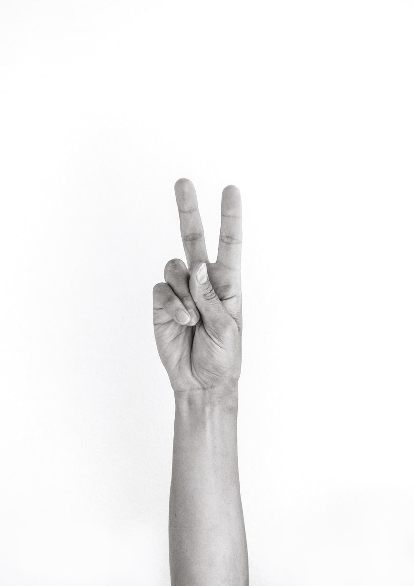 Quadro Hands 5 Vegan Peace