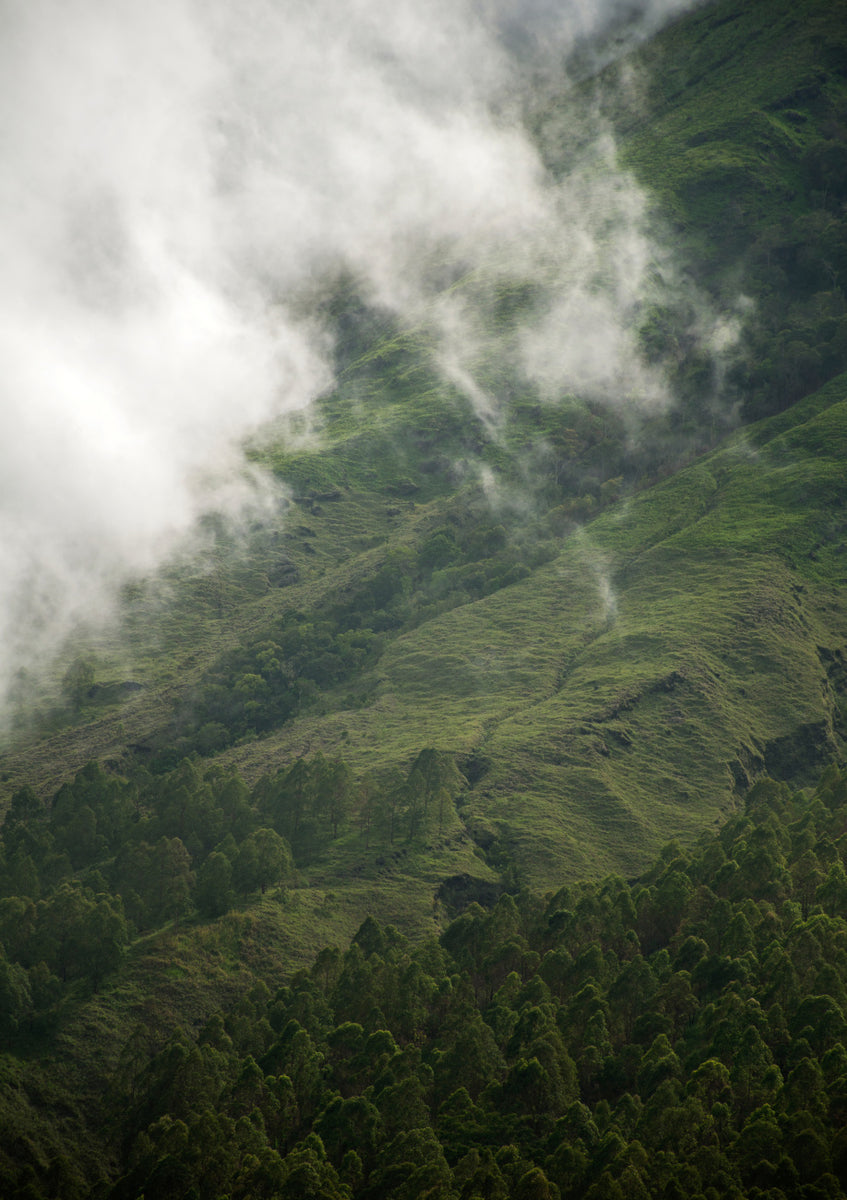 Quadro Hiking Through Greens Clouds