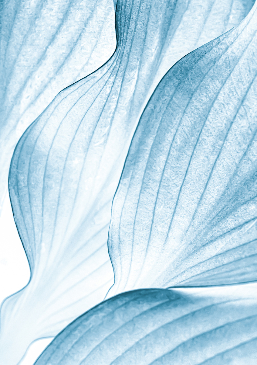 Quadro Icy Waves by Beth Buelow