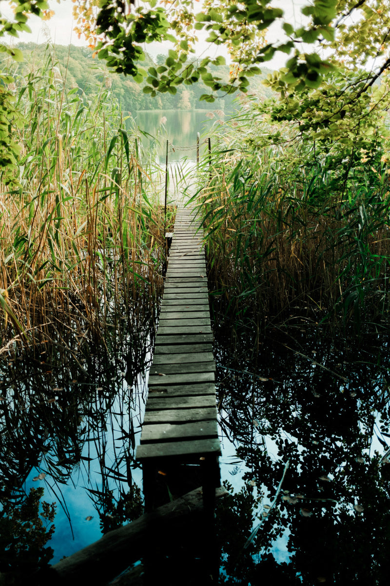 Quadro Idyllic Lakeview