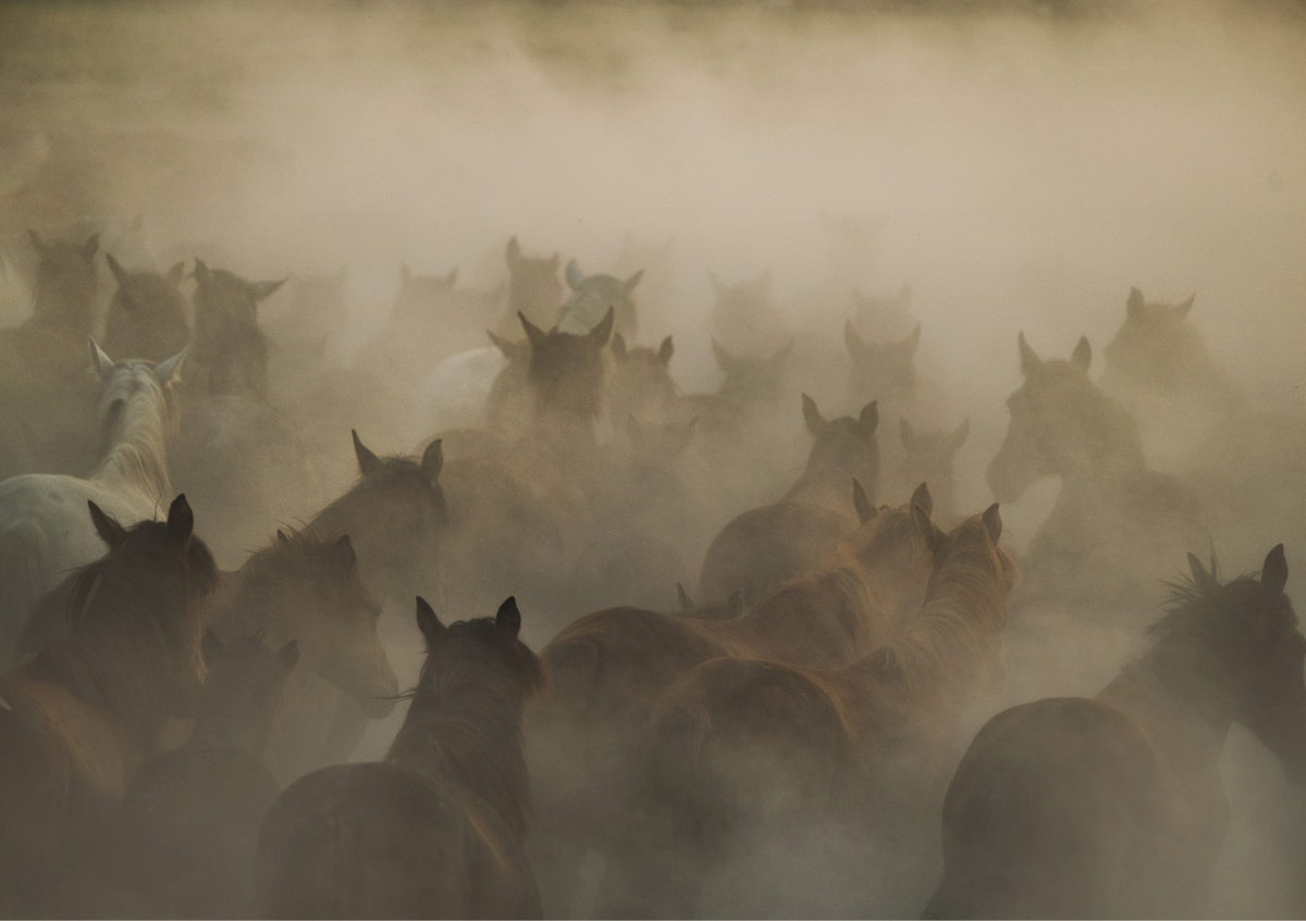 Quadro In Dust by Huseyin Taşkin