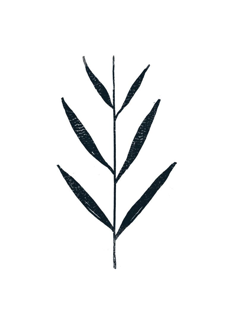 Quadro Inkpen Fern Leaves