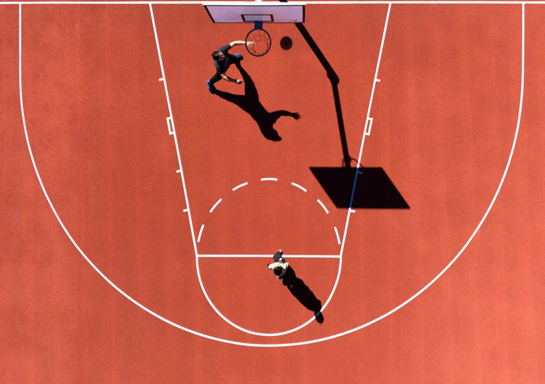 Quadro Inverted Puma