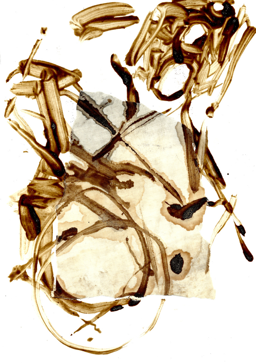Quadro Joya Nature