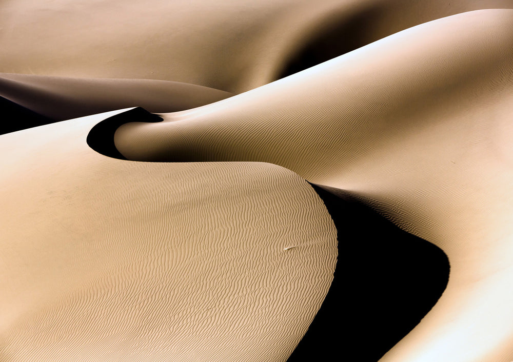 Quadro Line and Curve