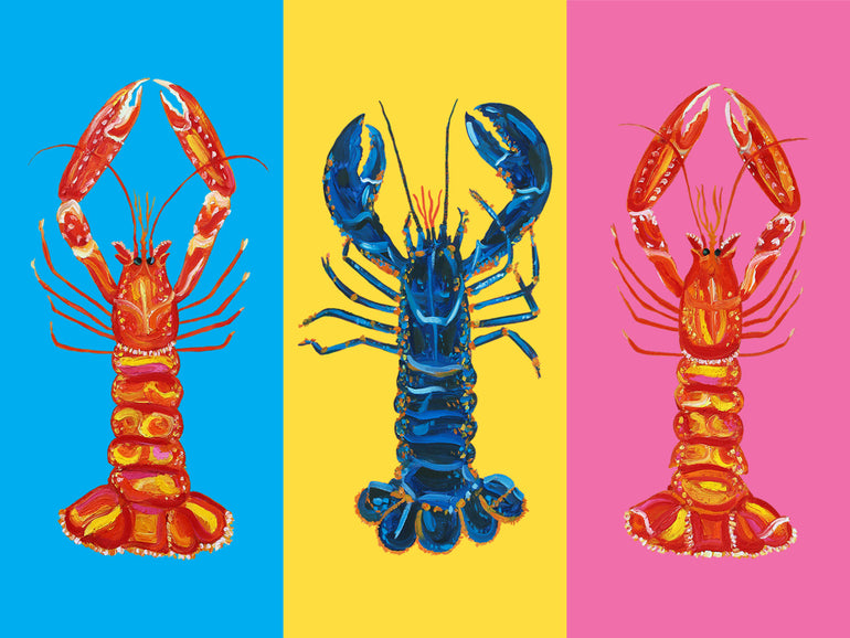 Quadro Lobster Langoustines Pop Art By Alice Straker