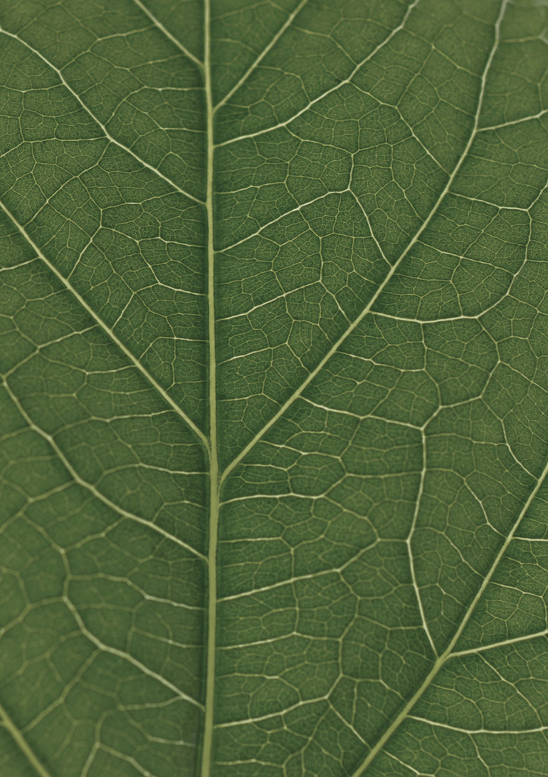 Quadro Look Real Close