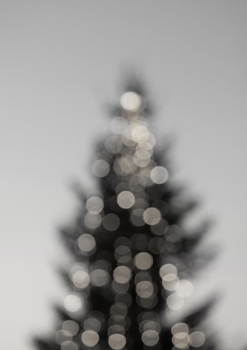 Quadro Merry, Merry Christmas Black & White Ed