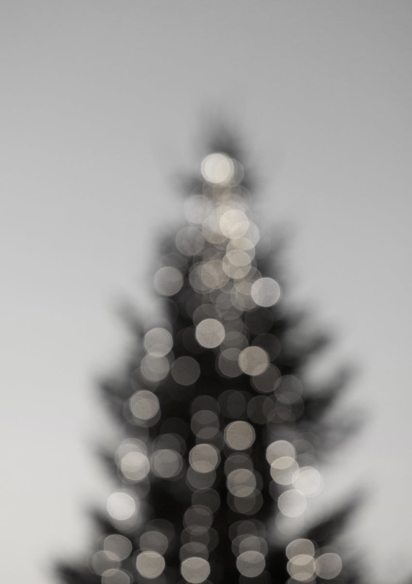 Quadro Merry, Merry Christmas Black & White Ed