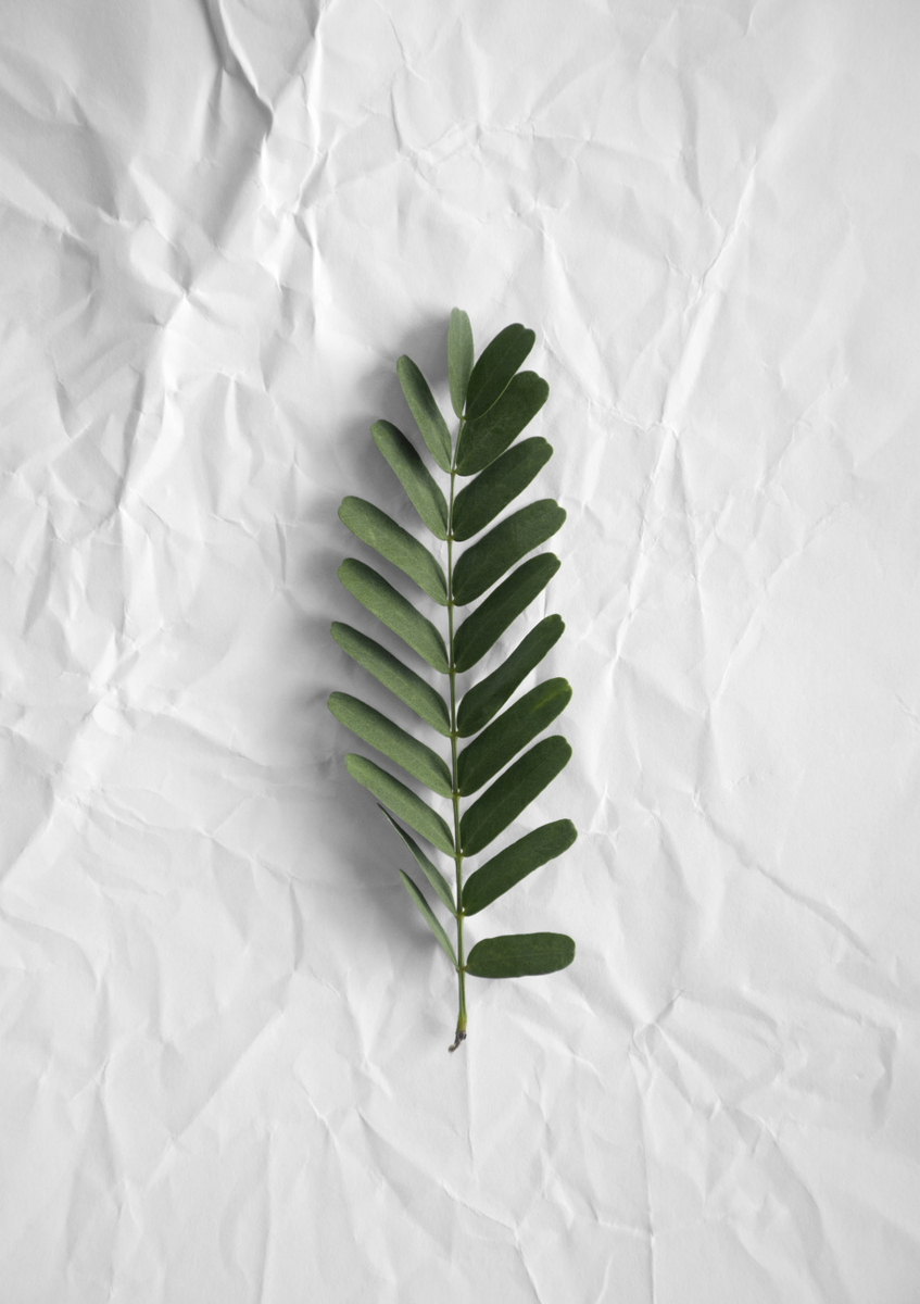 Quadro Minimal Forest Love