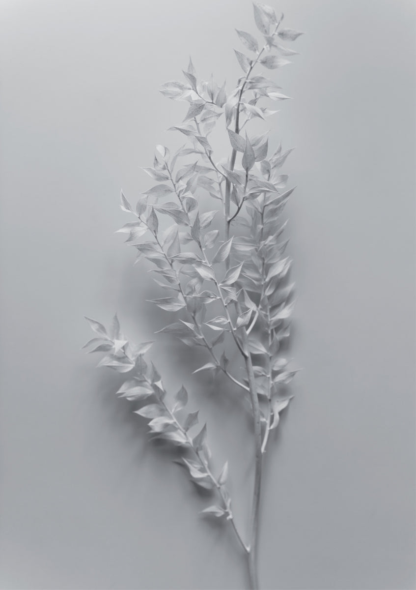Quadro Mininal White Branch