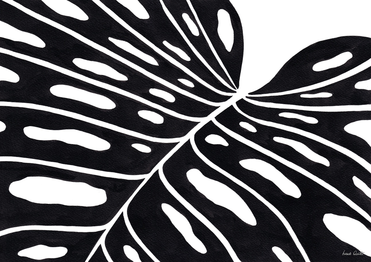 Quadro Monstera Peb