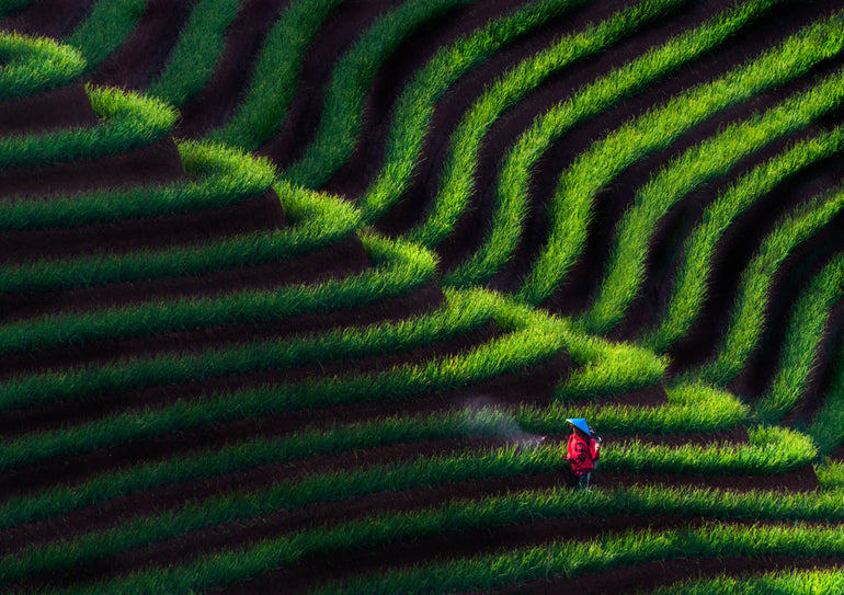 Quadro Morning Side By Helmi Rahmat S