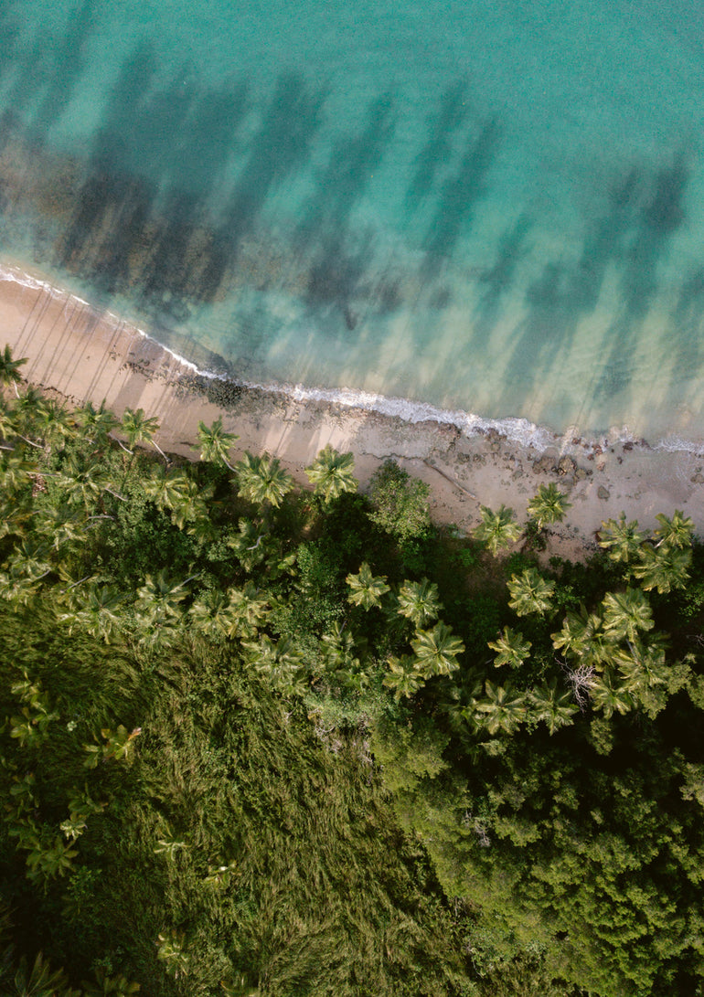 Quadro Palm Beach From Above
