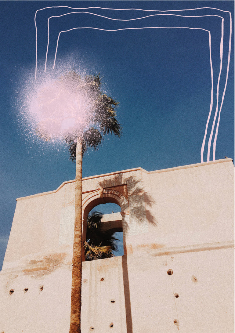 Quadro Palm Tree in Morocco