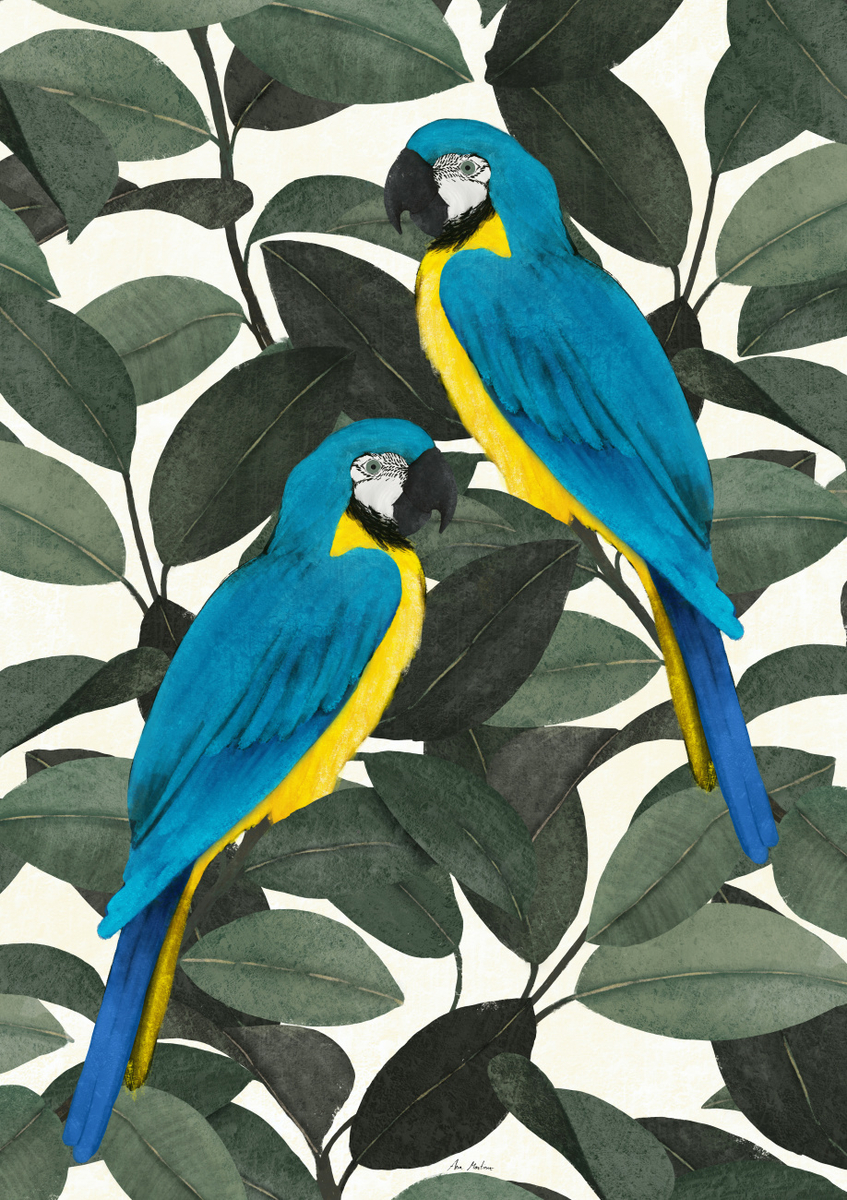 Quadro Parrots