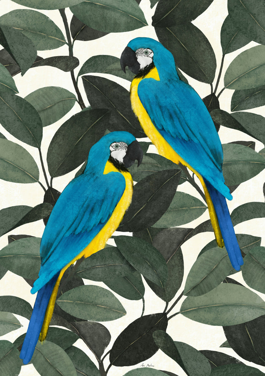 Quadro Parrots
