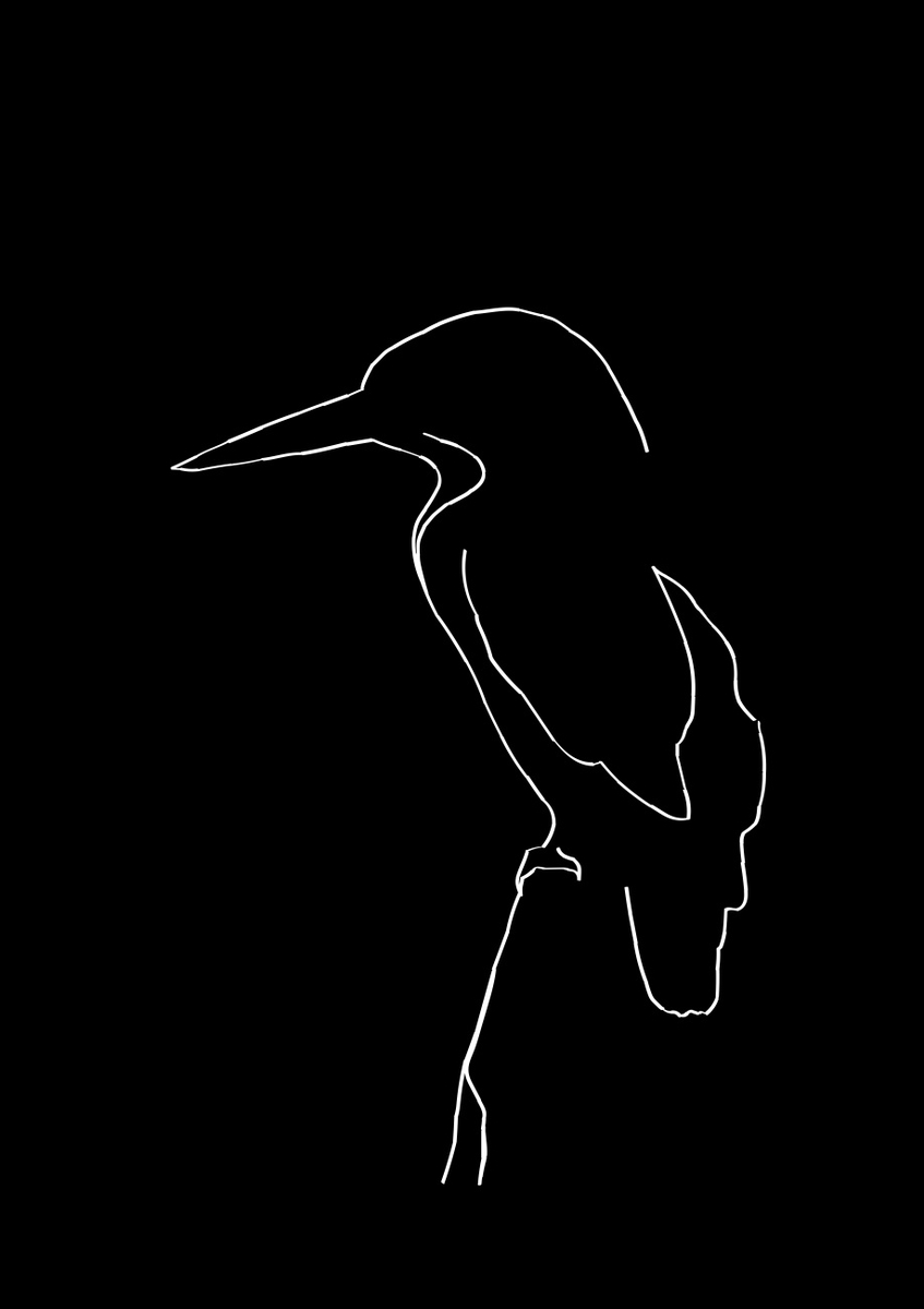 Quadro Pássaro 1