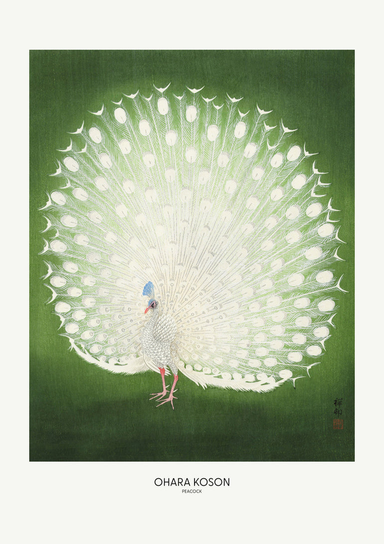 Quadro Peacock Wide By 1x Studio