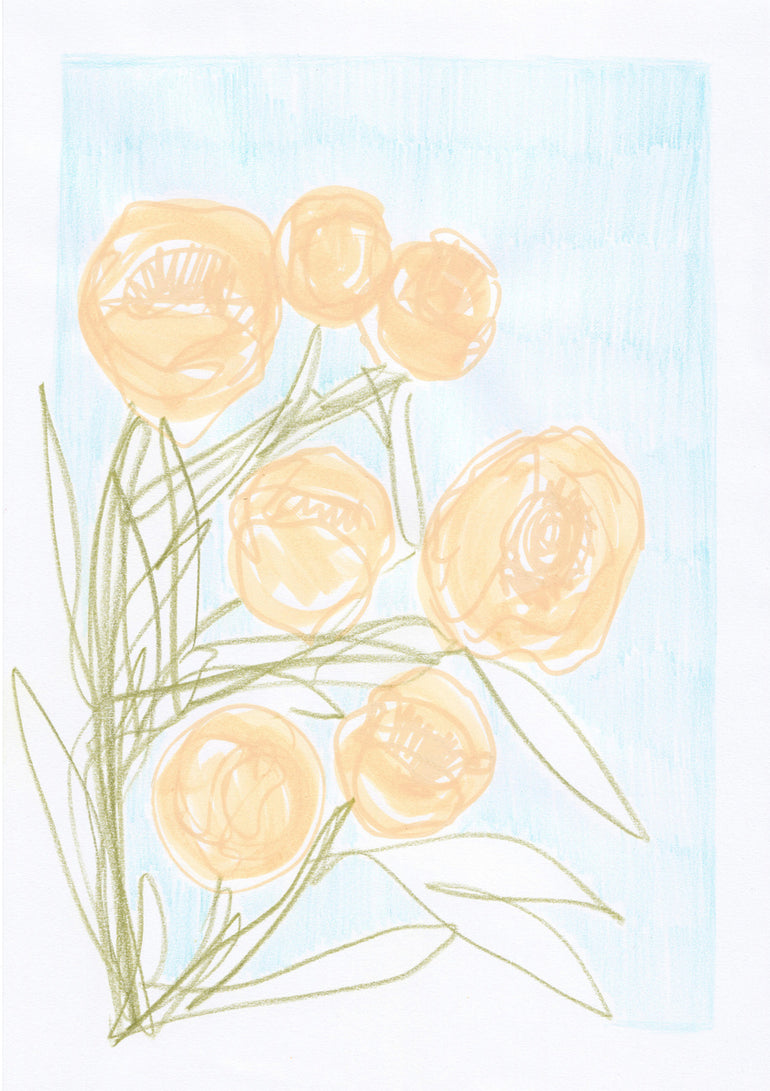 Quadro Peonies
