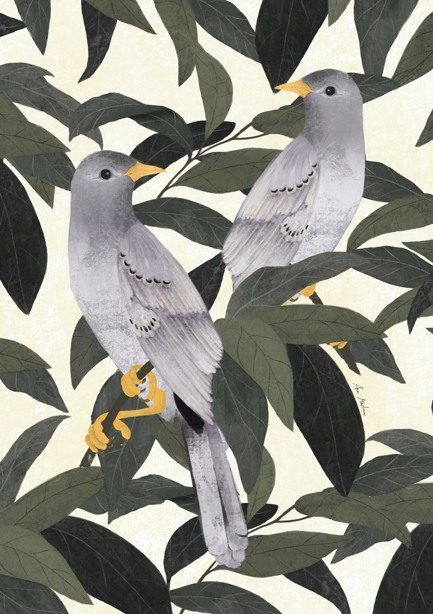 Quadro Pigeons
