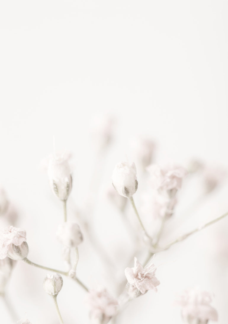 Quadro Pink Small Flowers By 1x Studio III