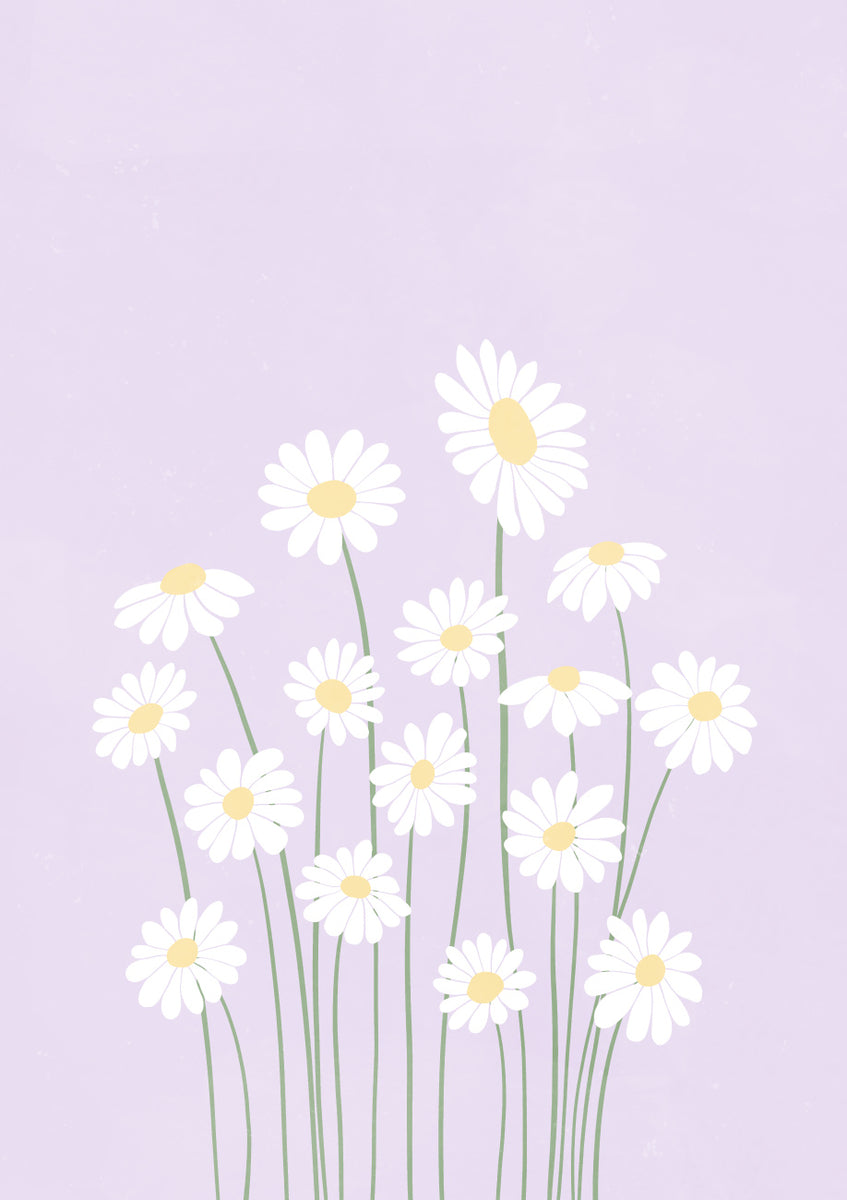 Quadro Purple Daisies