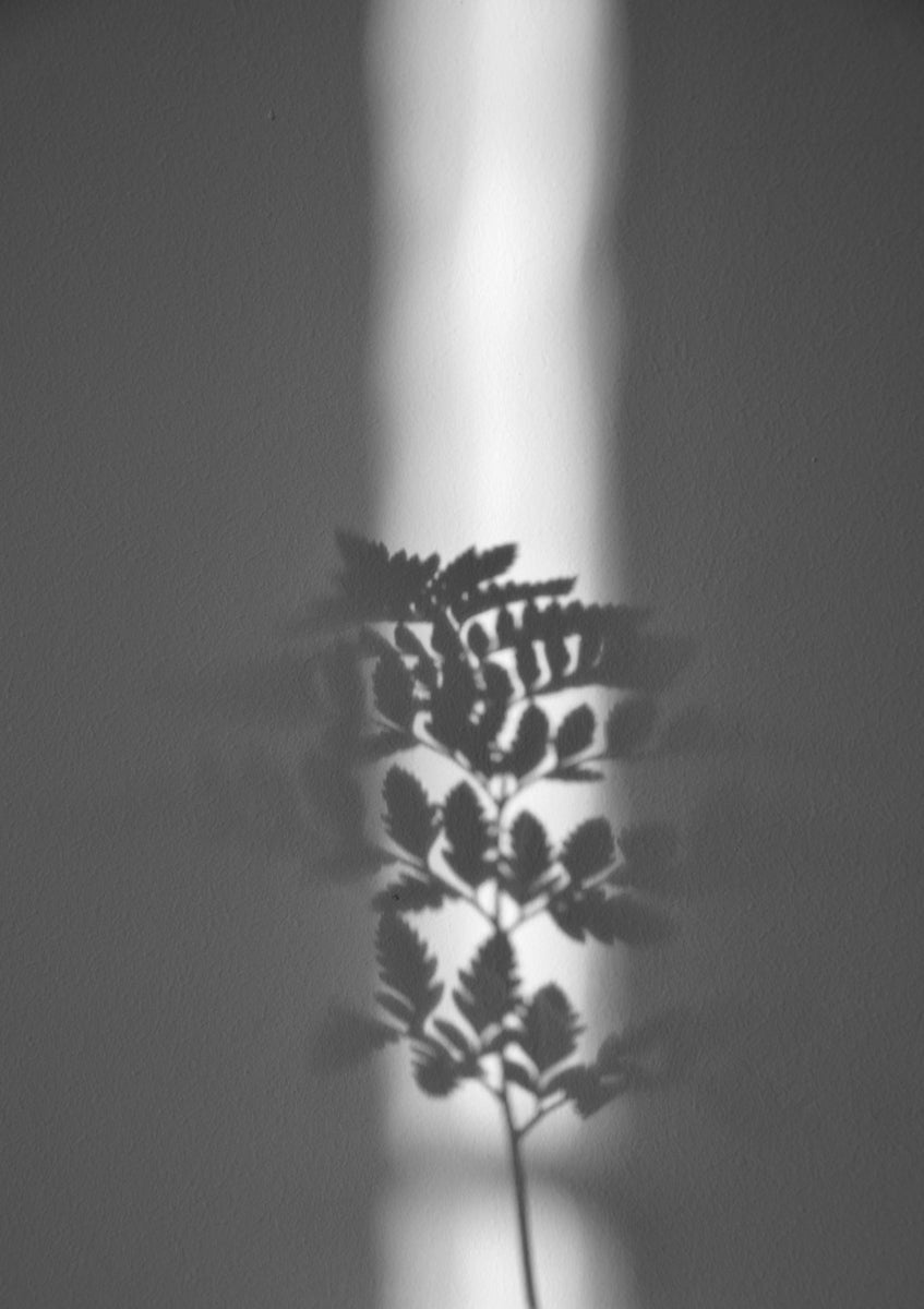 Quadro Ray of Sunlight