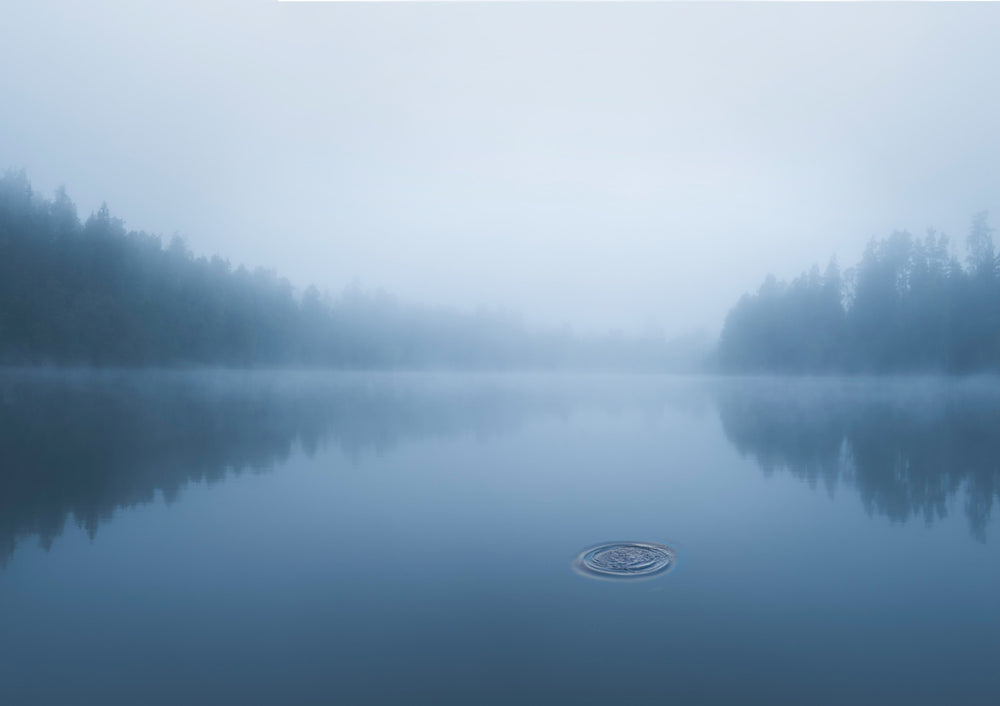 Quadro Ripple in the Water