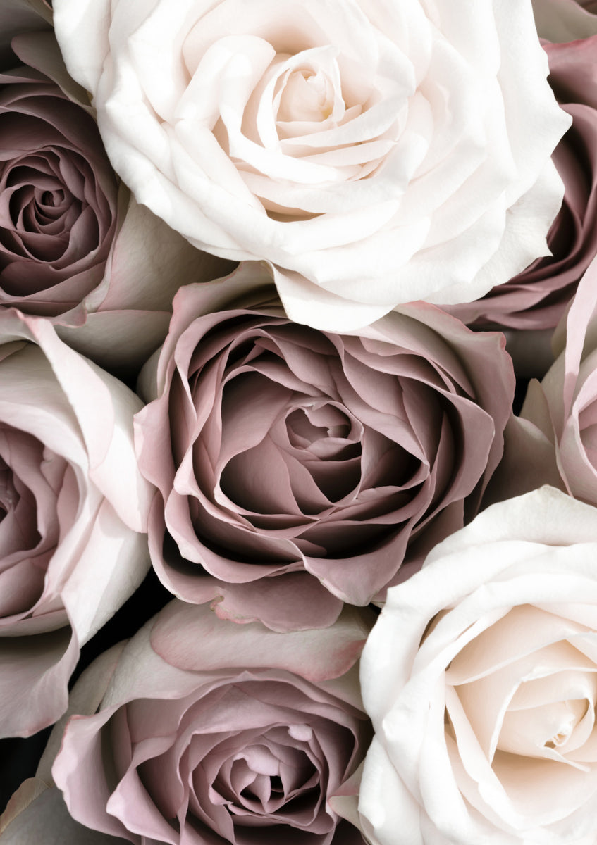 Quadro Roses By 1x Studio III