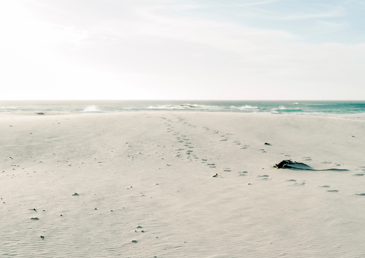 Quadro Sand and Sea